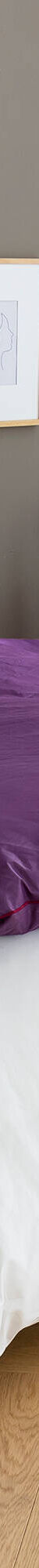 Edredon naturel duvet et plumettes (aubergine) Edredon naturel duvet et plumettes (aubergine)